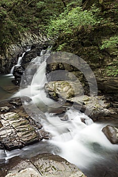 Brook flowing from waterfall