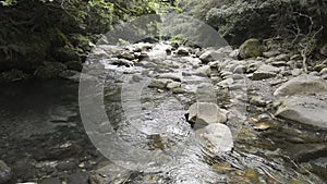 Brook gently flowing