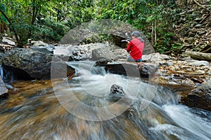 Brook in Green Forest,Mountain stream.