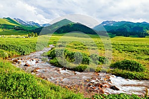 The brook in the high mountain meadow