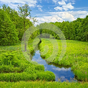 Brook and meadow and forest.