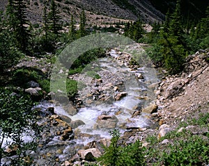 Brook in mountains