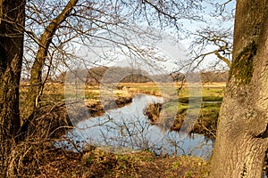 A brook in the Netherlands province Drenthe