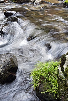 Brook with stones