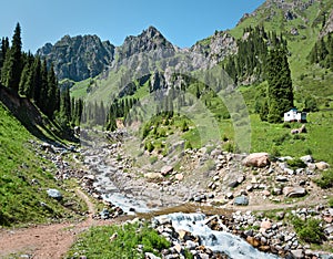 Brook stream water nature summer mountains Central Asia