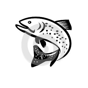 Brook Trout or Brook Char Jumping Up Retro Black and White