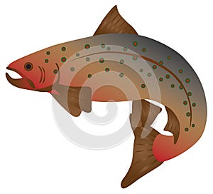 Brook Trout Color vector Illustration