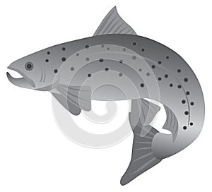 Brook Trout Grayscale Vector Illustration