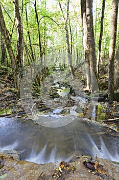 Brook in the woods