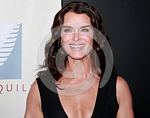 Brooke Shields at the Quill Awards gathering in Manhattan on October 22, 2007