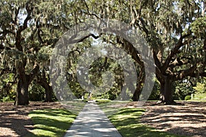 Brookgreen Gardens Path