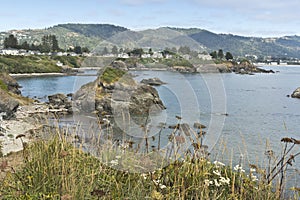 Brookings, Oregon from Chetco Point photo