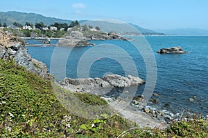 Brookings, Oregon from Chetco Point photo