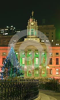 Brooklyn Borough Hall Christmas 2010