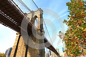 Brooklyn Bridge Arcs