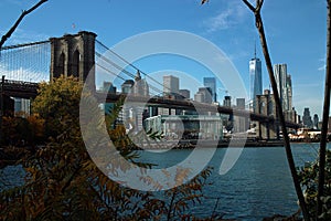 Brooklyn Bridge and Jane`s Carousel, New York USA