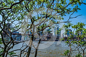 Brooklyn Bridge with lower Manhattan skyline, One World Trade Center in New York City through the green foliage of the