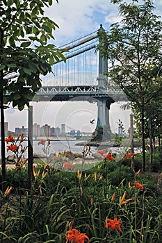 Brooklyn Bridge Park New York USA