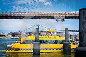 Brooklyn bridge and water taxi