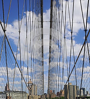 Brooklyn Bridge Web