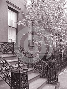 Brooklyn brownstones