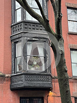 Brooklyn Heights street view, Brooklyn, NYC.