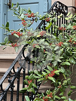 Brooklyn Heights street view, Brooklyn, NYC.