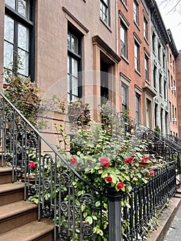 Brooklyn Heights street view, Brooklyn, NYC.