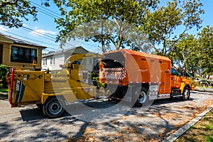 New York City Parks crew works to remove a fallen tree and clears street the aftermath of severe weather after storm Isaias