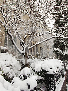Brooklyn Park Slope winter snow photo