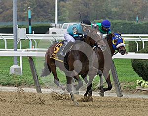 Brooklyn Strong - Eagle Orb Head to Head at Belmont Park
