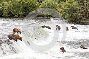 Brooks Falls in Alaska during the summer