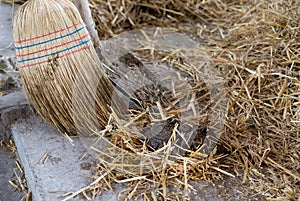 Broom and shovel for cattle dung