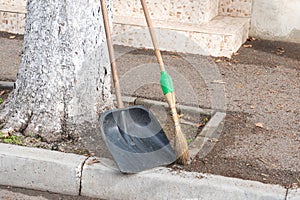Broom and shovel leaning against tree after sweeping leaves