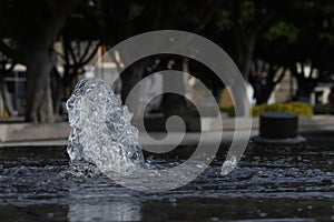 Brote de agua en fuente en Leon Guanajuato photo