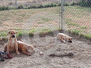 Brother and 2 sisters