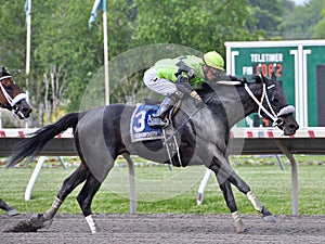 Brother Chub Jose Ortiz