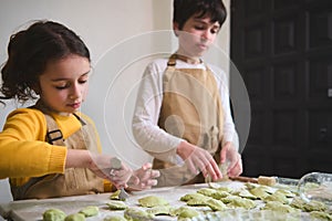 Brother and sister in beige chef's aprons, stuffing rolled dough rounds, making dumplings in the rural house kitchen