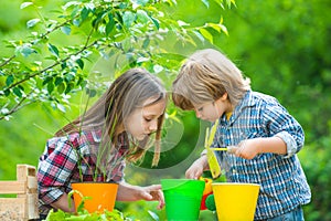 Brother and sister grows flowers together. Little kids work in yard with garden tools and have good time. Spring