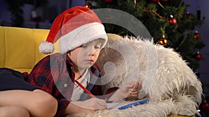 Brother, sister and little dog lie under the Christmas tree in Santa hats and smile. little girl and boy