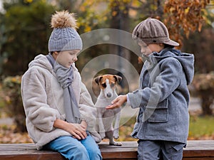 Brother and sister sit in an embrace with a dog on a bench for a walk in the autumn park. Boy, girl and jack russell