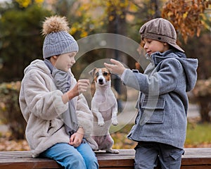 Brother and sister sit in an embrace with a dog on a bench for a walk in the autumn park. Boy, girl and jack russell