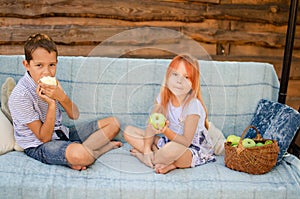 Brother and sister sit opposite each other on a garden swing and eat green apples. Beautiful happy caucasian children in the