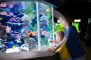 Brother and sister watching fishes in a zoo