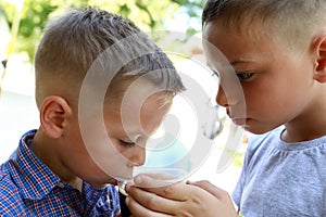 Brothers drinking kvass