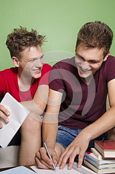 Brothers having fun while studying together