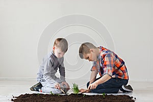 The brothers make planting in the soil on the floor