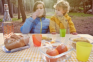 Brothers on picnic in park