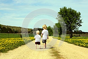 Brothers Walking Down Road