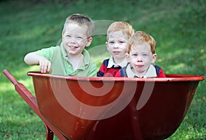 Brothers in wheel barrow